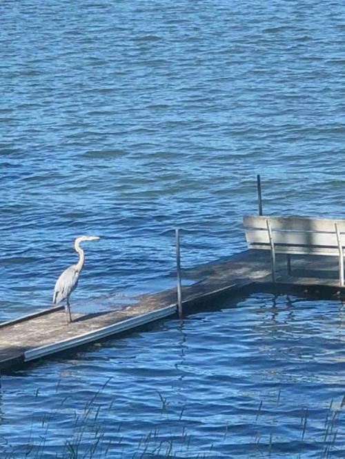 14:18:30 GMT+0100 (WAT)