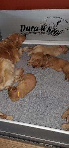 15:38:35 GMT-0500 (EST)