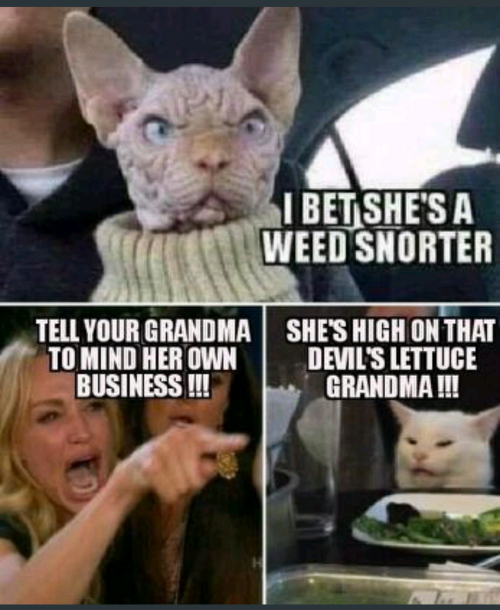 Screenshot_20191117-221203(1)