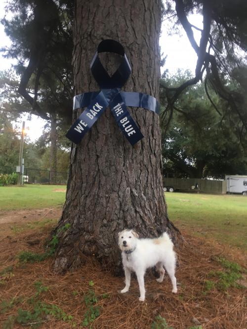 17:44:03 GMT-0600 (CST).image