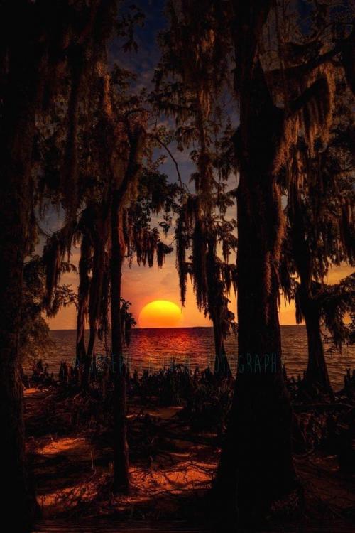 19:35:53 GMT-0600 (CST).image