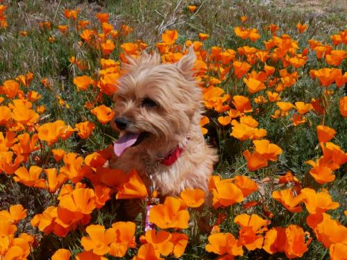 12:02:07 GMT-0800 (PST)