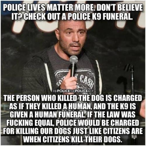 125128733_403053341024389_8650927060717437469_n