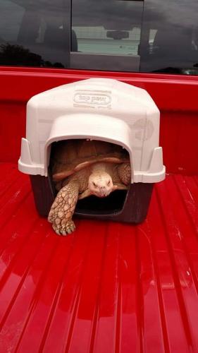 16:14:31 GMT-0600 (CST)