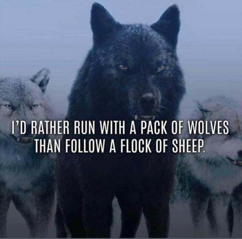 13:31:57 GMT-0800 (PST).image