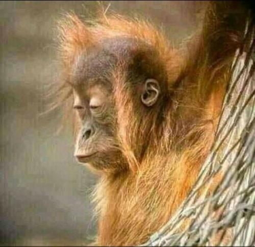 08:54:21 GMT-0500 (EST)