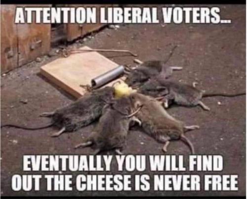 202011220613-los4rbooG1