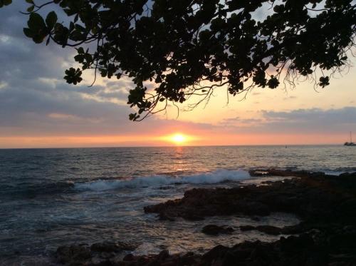 9F5424F4-47CE-41ED-BD08-0B83FF77FE63