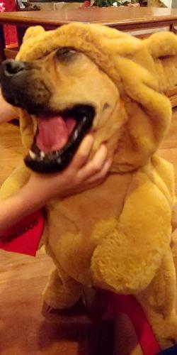 11:05:39 GMT-0500 (EST)