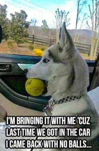 21:47:24 GMT-0500 (EST).image