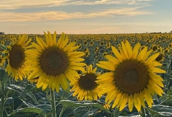 15:58:42 GMT-0700 (MST)