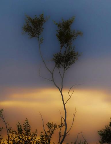 15:01:51 GMT-0800 (PST)