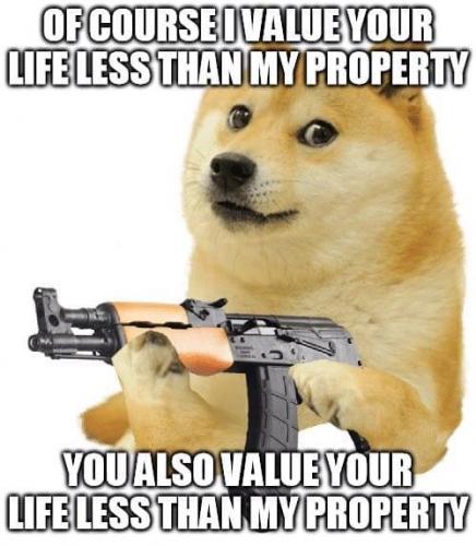 9629EA2A-A81B-4284-A313-841E33547548-20599-00000DA2545BB355