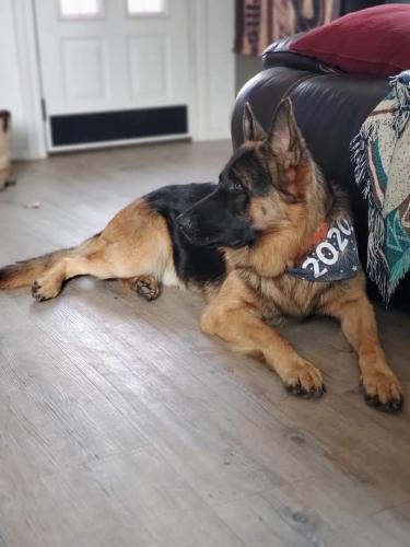 22:05:13 GMT-0700 (MST)