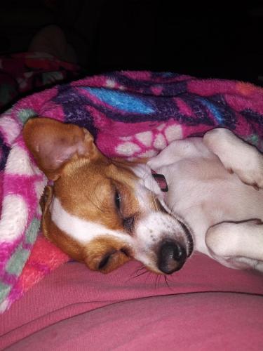 23:08:37 GMT-0500 (EST)