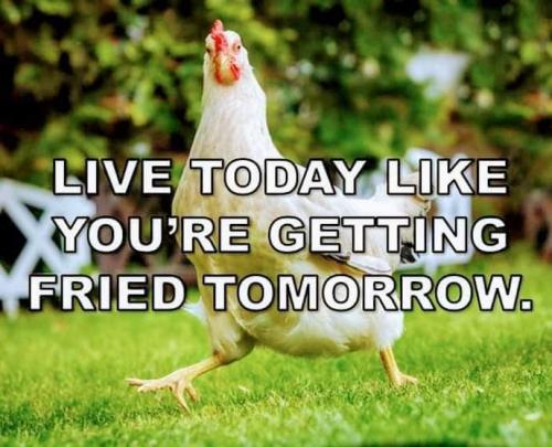 14:09:57 GMT-0500 (EST)