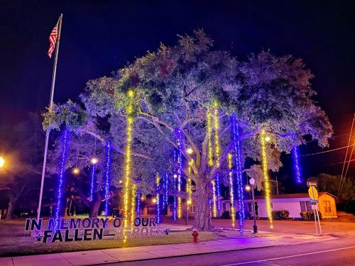 19:23:08 GMT-0600 (CST).image