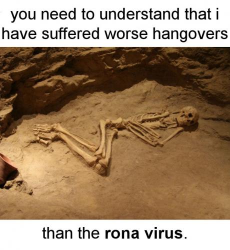 coronavirus1161