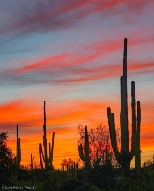 14:25:28 GMT-0700 (MST)