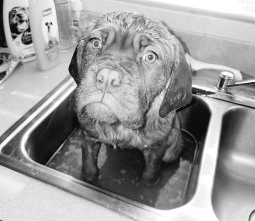 17:57:55 GMT-0800 (PST)