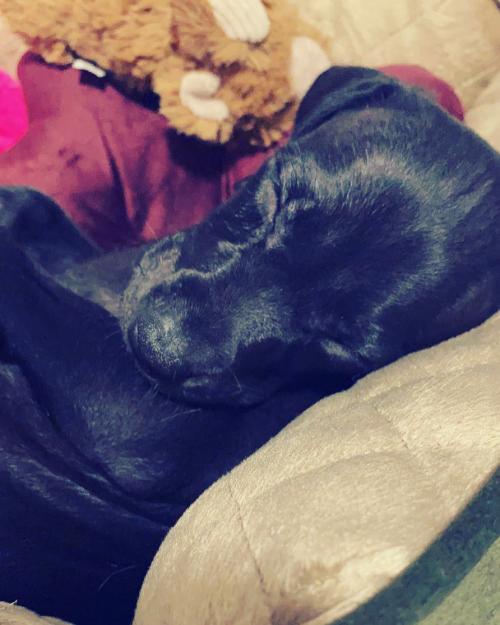 22:14:39 GMT-0500 (EST).image