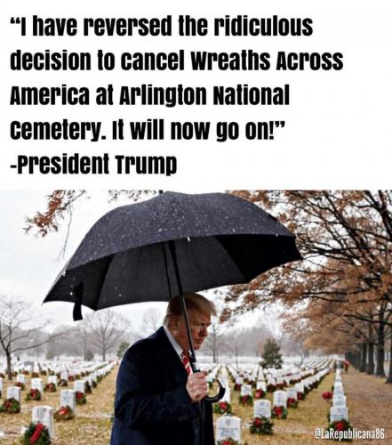 God bless America ?? and our President Donald J Trump