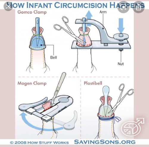 CF3FF307-5F7D-4AF0-B274-071F09E76585