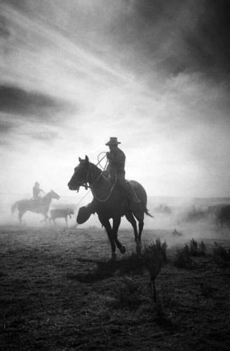 125549682_10215431787782605_8227643719255134111_n