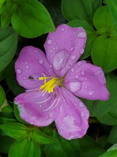 15:06:59 GMT-0800 (PST)