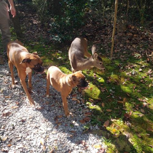 00:39:41 GMT-0600 (CST)