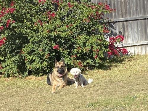 03:21:34 GMT-0600 (CST).image