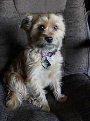 12:02:07 GMT-0800 (PST)