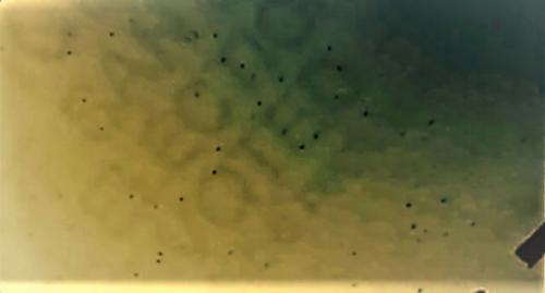 18:28:07 GMT-0600 (CST)