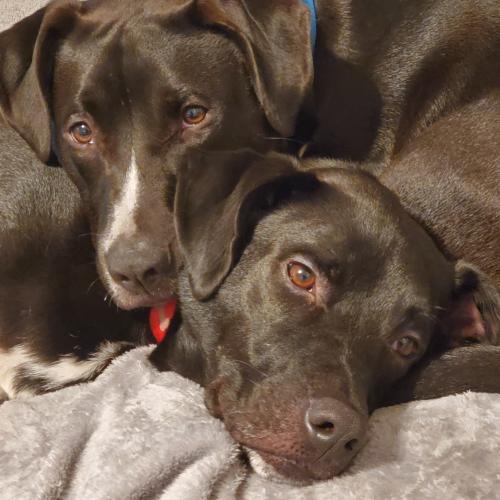 08:23:16 GMT-0500 (EST).image