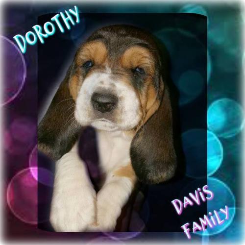 49319544-1217451171742795-8885904331715379200-n