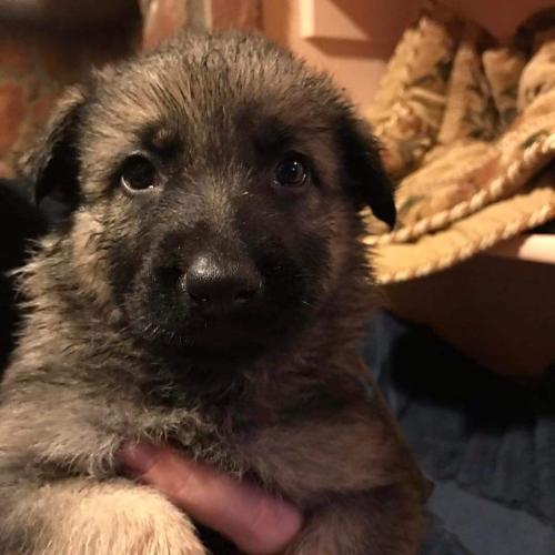 07:00:17 GMT-0700 (MST)