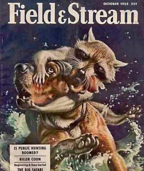 22:59:17 GMT-0600 (CST).image