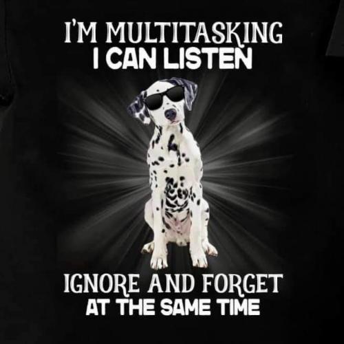 22:46:19 GMT-0800 (PST)