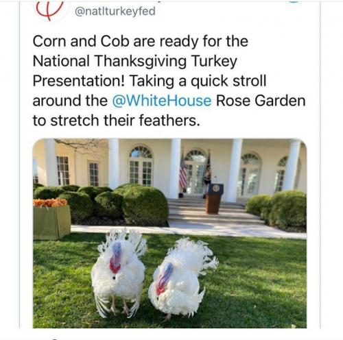 17:31:32 GMT-0600 (CST)