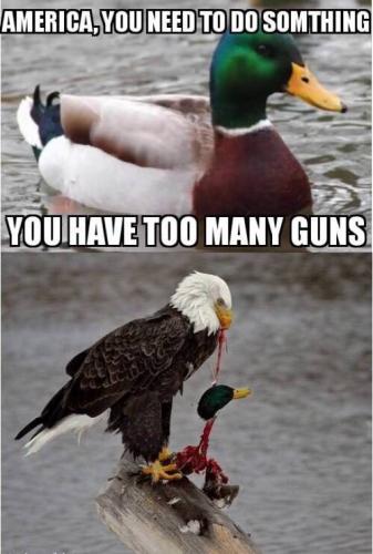 FEE25A55-1E8F-4CFE-B709-4E84EF43736B-19071-00000C4F70157470