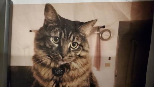 00:04:32 GMT-0500 (EST)