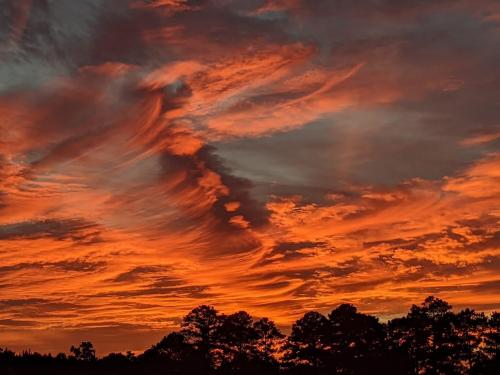 08:33:38 GMT-0600 (CST).image