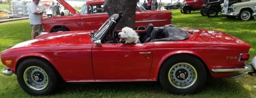 Screenshot_20200215-224607_Samsung Internet