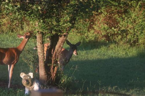 09:54:35 GMT-0600 (CST)