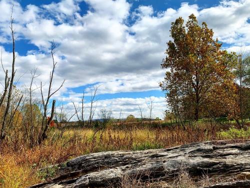 08:12:03 GMT-0500 (EST).image