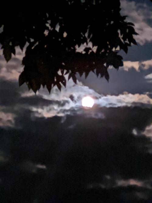 05:51:20 GMT-0600 (CST)