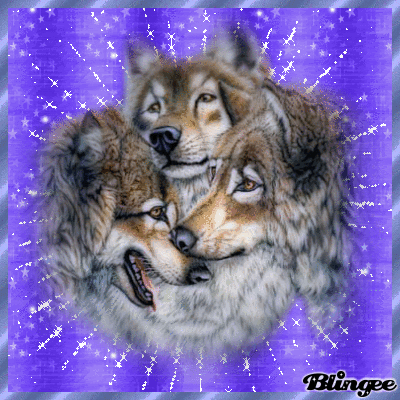 21:52:32 GMT-0600 (CST).image