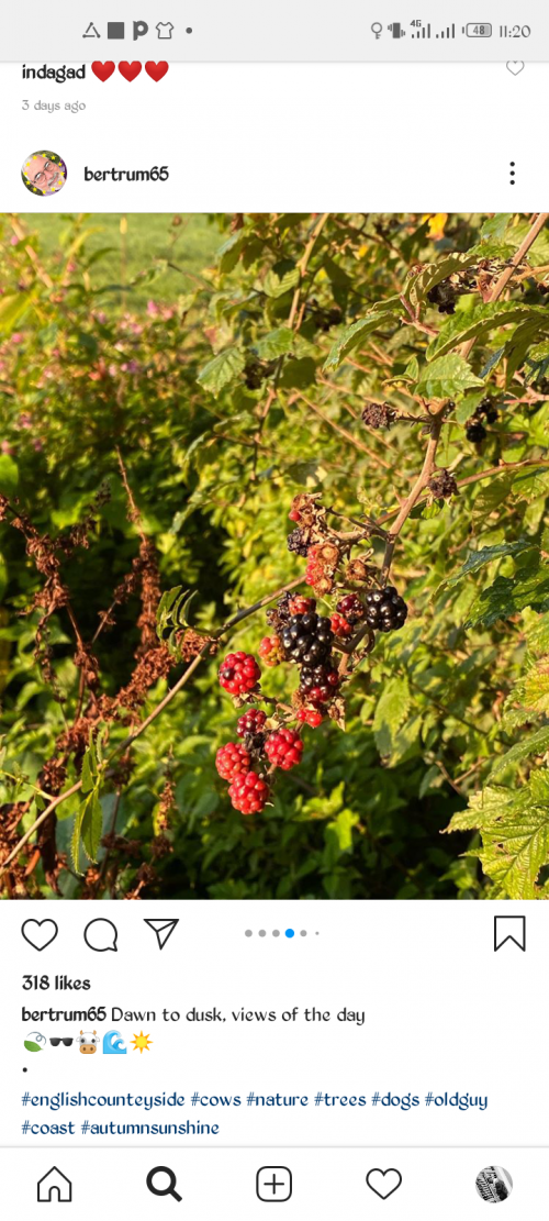 03:07:29 GMT+0100 (WAT).png