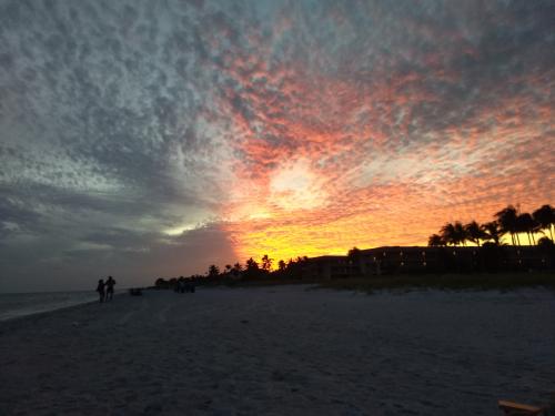 20:50:51 GMT-0500 (EST)