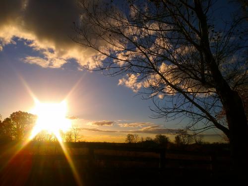 11:25:50 GMT-0500 (EST)